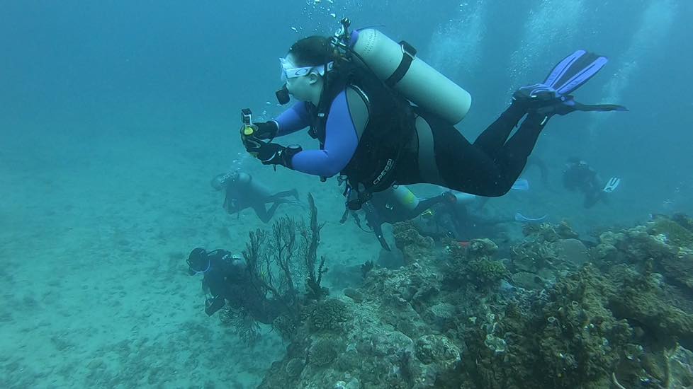 WDF Diving (3)
